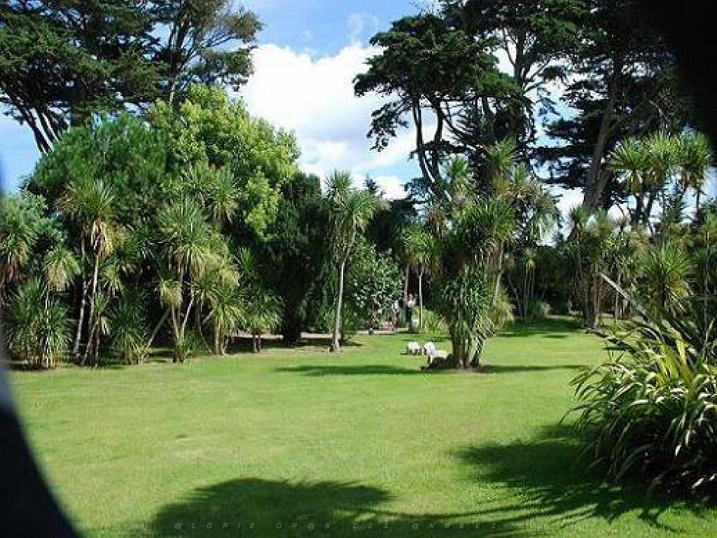 131 Ile de Batz Jardin Georges Delaselle_000002.jpg